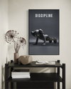 DISCIPLINE