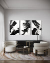 Noir Blanc Set of 3 Wall Art - Blanq Canvas