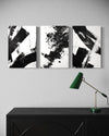 Noir Blanc Set of 3 Wall Art - Blanq Canvas