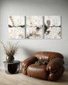 Silver Clouds Set Of 3 Wall Art 