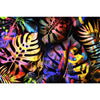 Zebra Cameo Canvas 